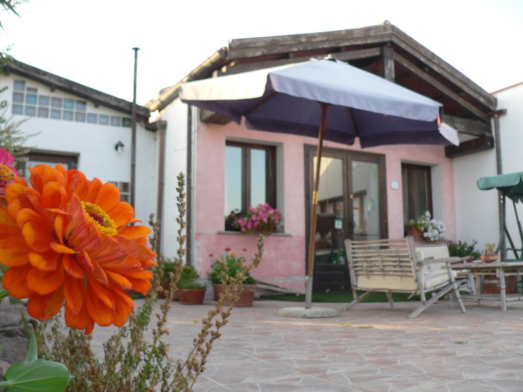 Agriturismo Sa Tanca Noa Tergu Kültér fotó