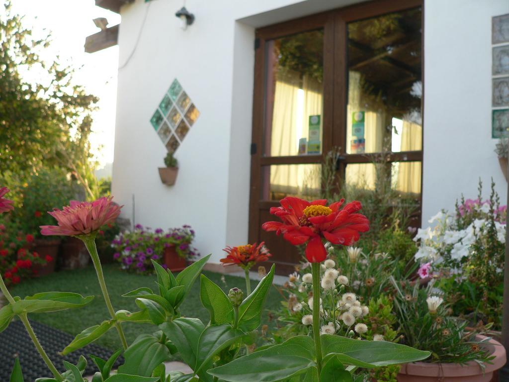 Agriturismo Sa Tanca Noa Tergu Kültér fotó