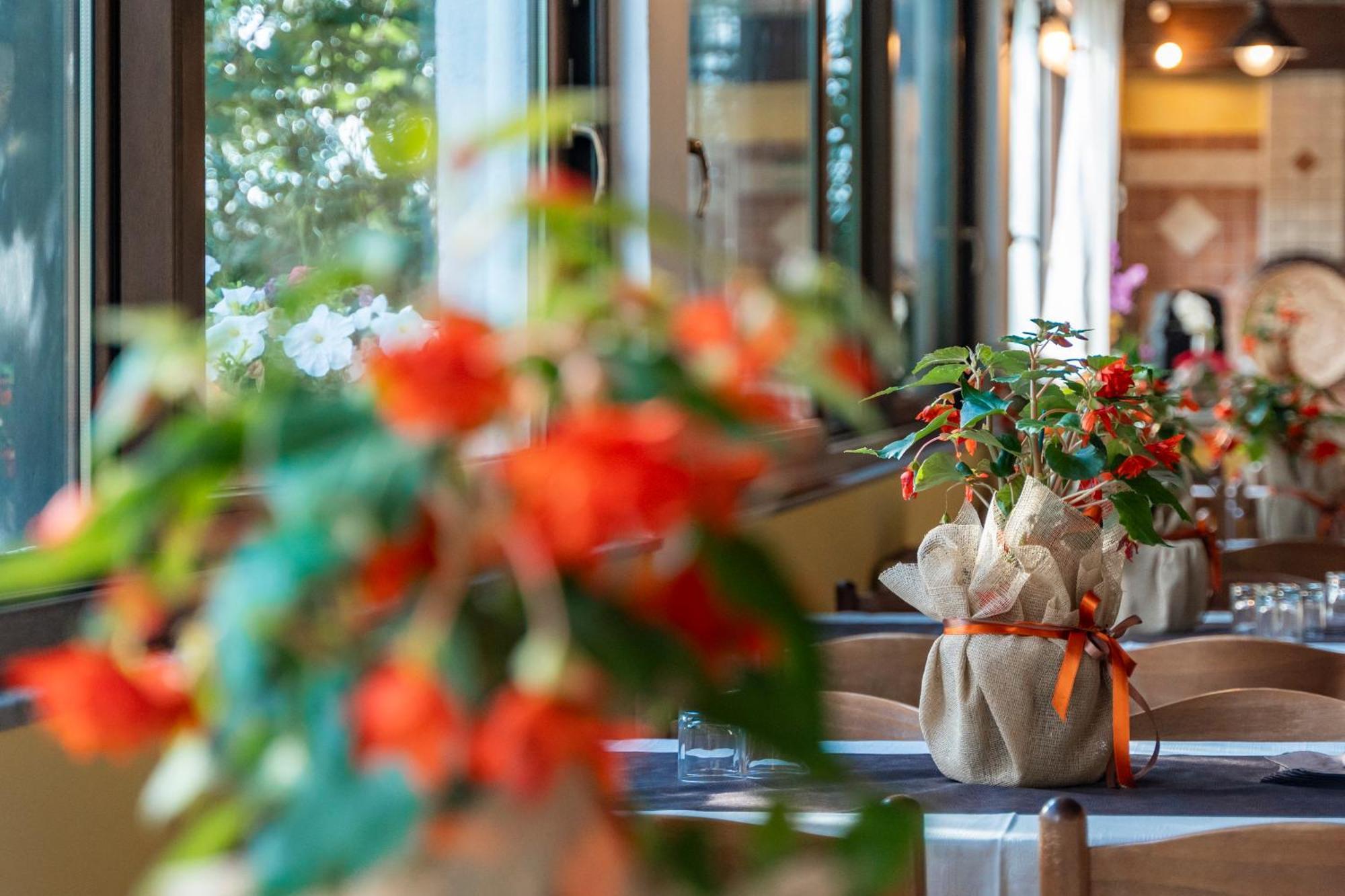 Agriturismo Sa Tanca Noa Tergu Kültér fotó