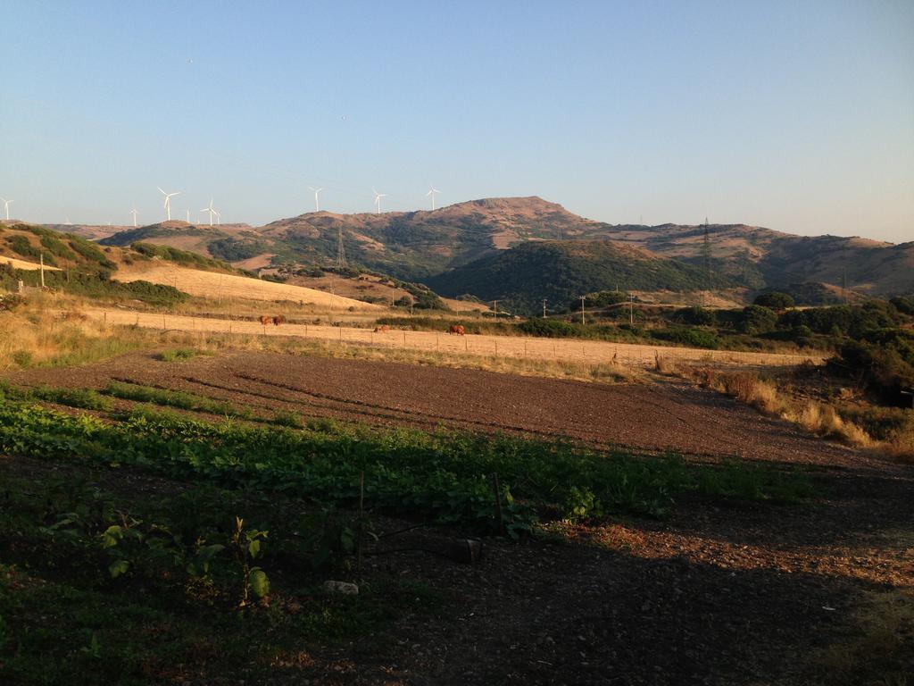 Agriturismo Sa Tanca Noa Tergu Kültér fotó