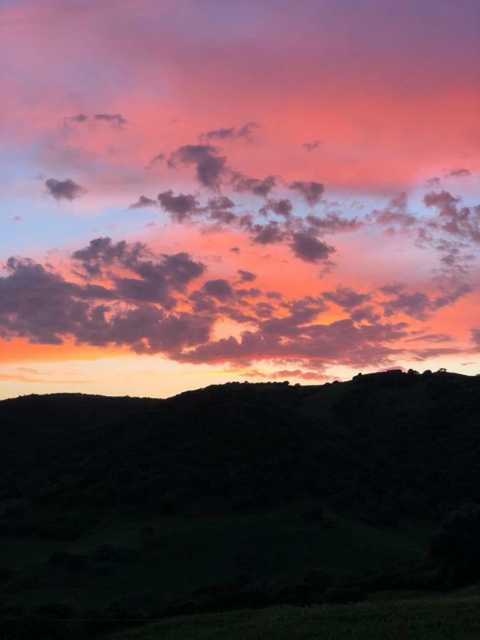Agriturismo Sa Tanca Noa Tergu Kültér fotó