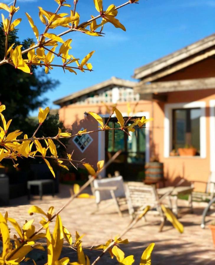 Agriturismo Sa Tanca Noa Tergu Kültér fotó
