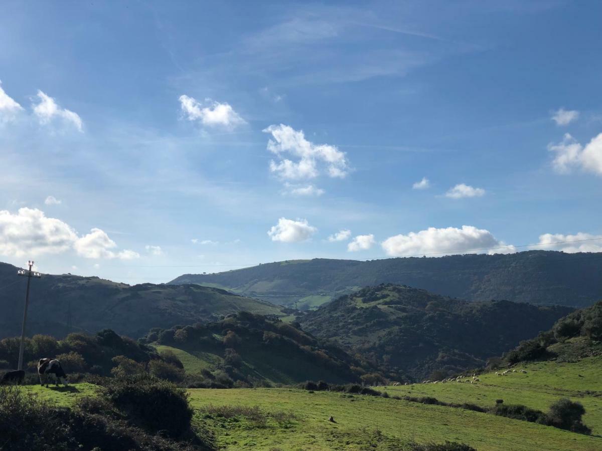 Agriturismo Sa Tanca Noa Tergu Kültér fotó