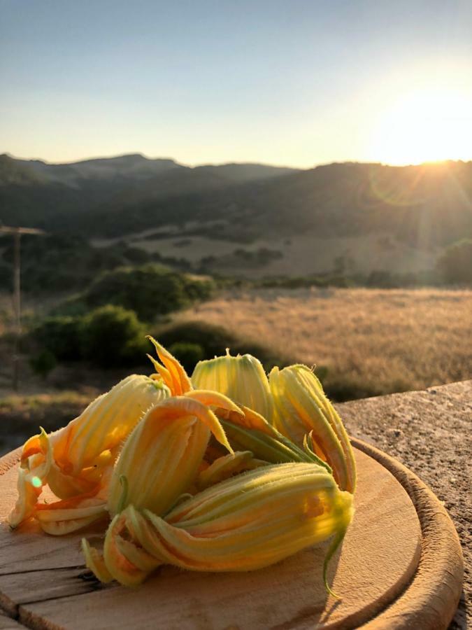 Agriturismo Sa Tanca Noa Tergu Kültér fotó